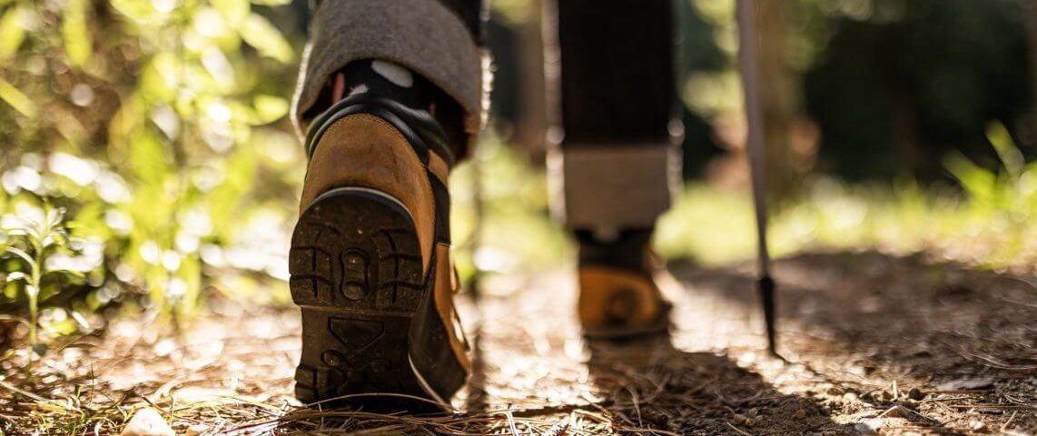 A hiker going on a walk in the woods