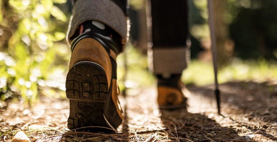 A hiker going on a walk in the woods